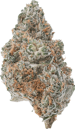 Mint Shake
